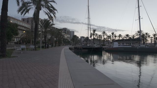 Fotografía Foto 21