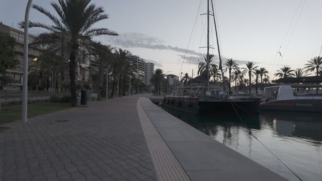 Fotografía Foto 22