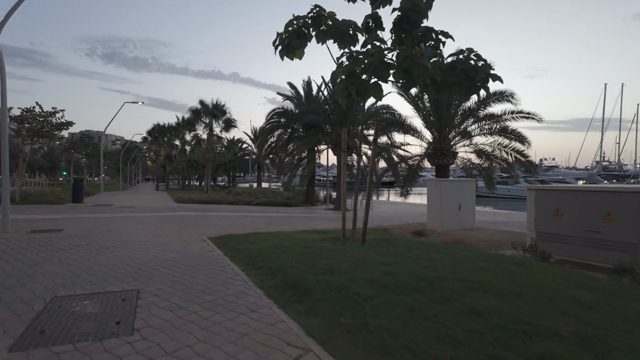 Vista previa de Video 16