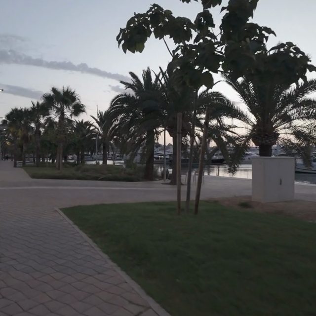 Vista previa de Video 16