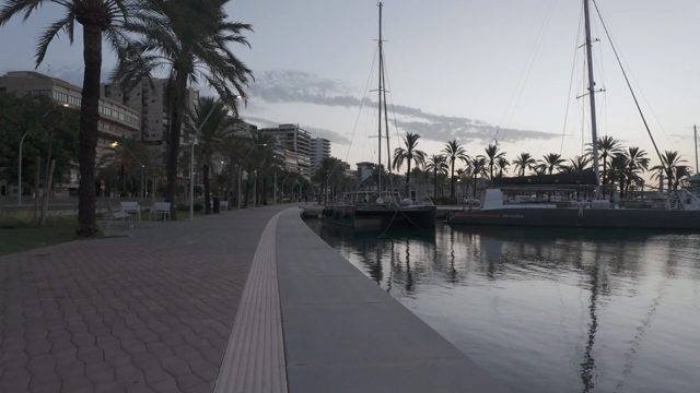 Vista previa de Video 17